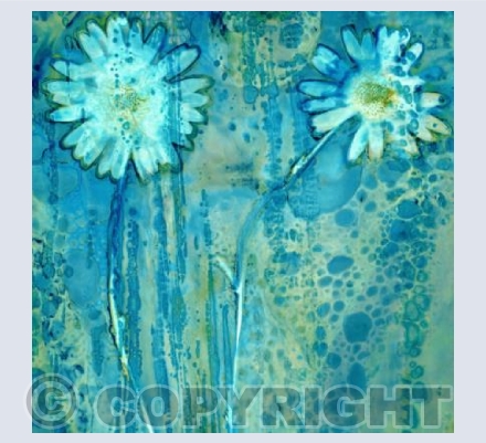Daisy Duo