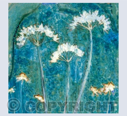 Woodland Flowers
