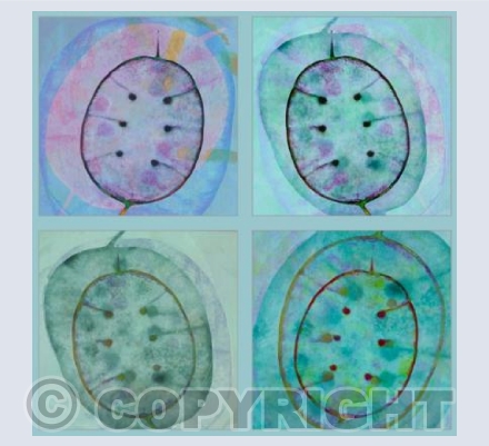 Honesty Pods