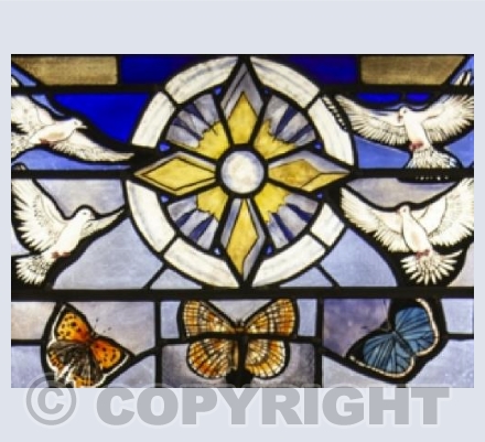 Peace doves