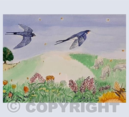 Summertime over the fields