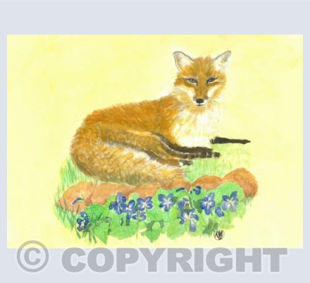 Fox with violets