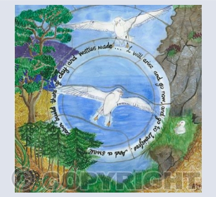 Terns and Scotts Pines