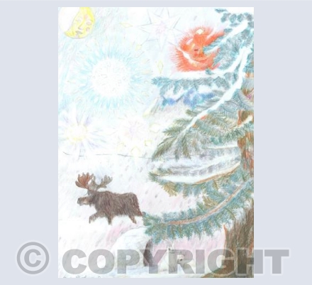 Moose and snowy hares