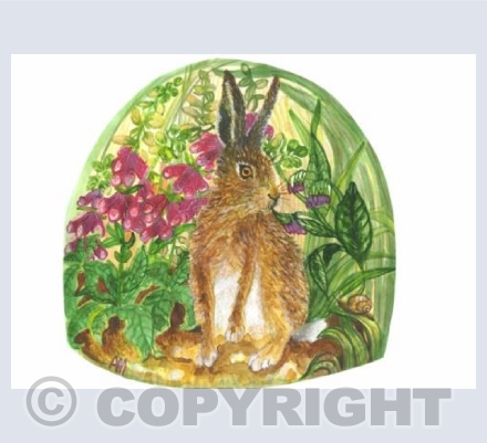 Hare in the foxgloves