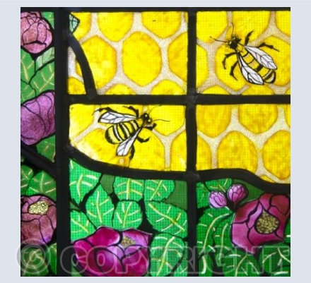 Bees and Camillias