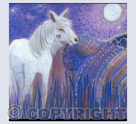 Believe in the magic of your dreams