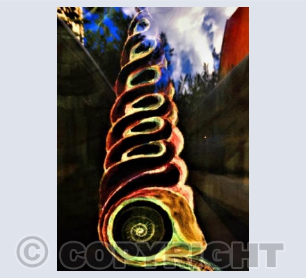 Shell Spiral