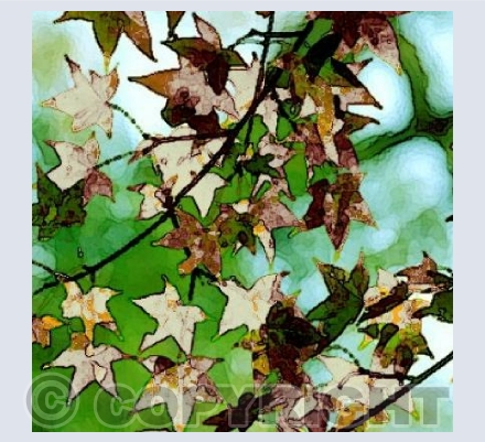 White Leaves