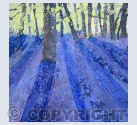 Bluebells