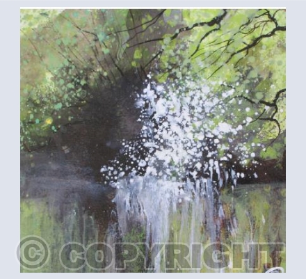 Blackthorn Froth