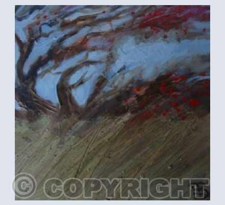 Bright Berries, Windswept Bush
