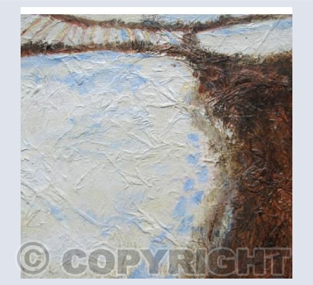 Field Edge Walk in the Snow