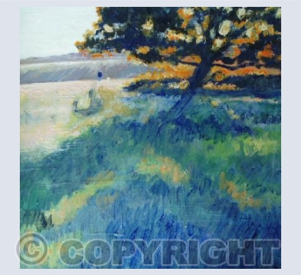 Autumn Colours Across the Common