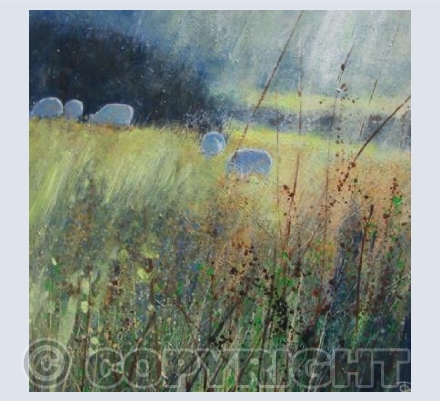 Hazy Sun , Sheep Grazing