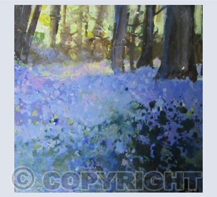 Early Morning Sun, Bluebells Magic