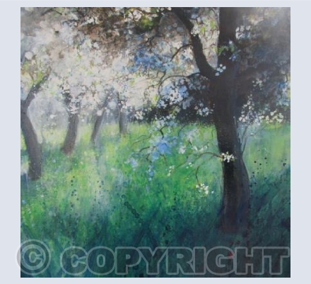 The Cherry Blossom Orchard