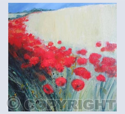 Poppies by the Lan, Blue Sky Above.