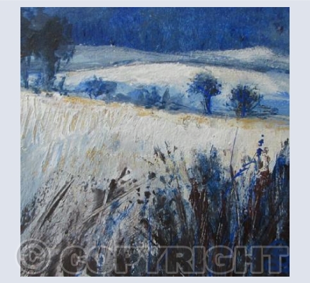 ASprinkling of Snow, Cold Day