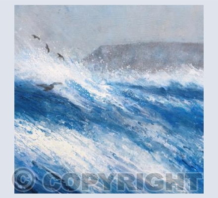 Wild Waves, Storm  Battered Coast, Seagulls