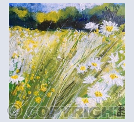 Daisy Meadow
