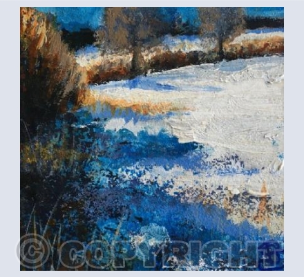 A Hedge Edge of Blue, Snow and Sunshine