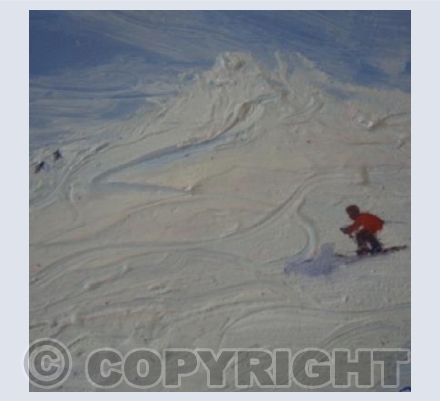 Snow Flurries Off the Top