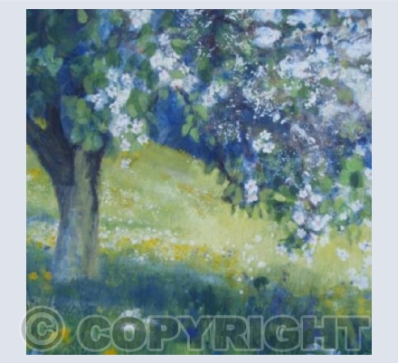 The Old Pear Tree