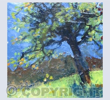 The Last Apples o the Trees