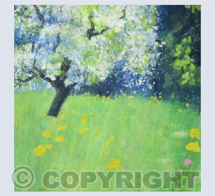 Wild Flower Meadow, Pear Blossom Froth.