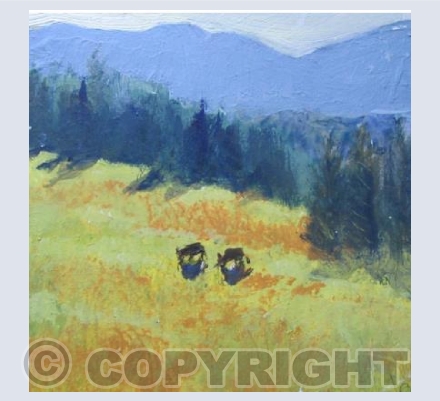 Early Morning Sun in a Mountains Meadow. 