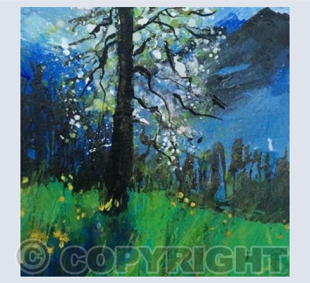 Bright Blossom, Pear Blossom Cascade