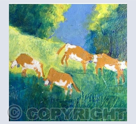 Cows