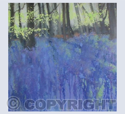 Late Evening Sun, Pale Lilac, Magenta