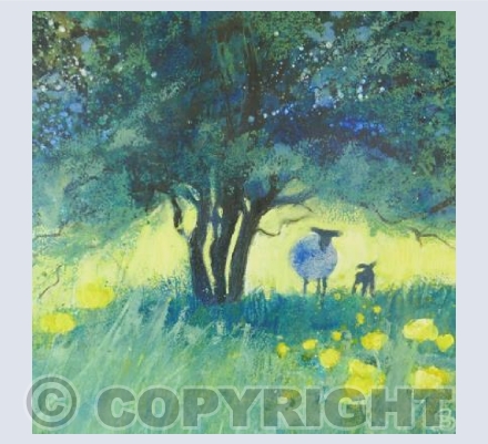 Cool Shade Under the Blossoming bush