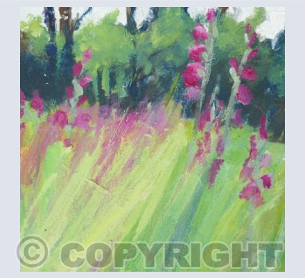 Bright Pink Valley Walk