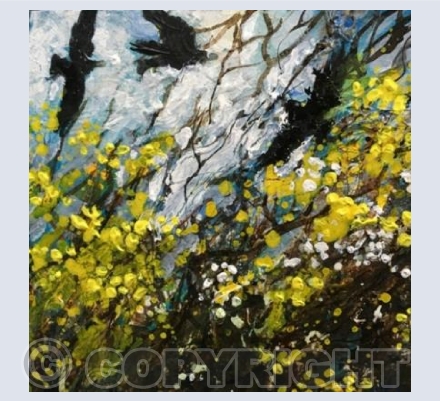 Bright Gorse, Rooks