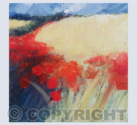 Brillaint Red Poppies