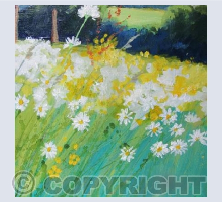 Bright Sun on a Meadow of Daisies.