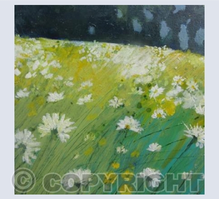 Daisies and Buttercups in a Bright Meadow