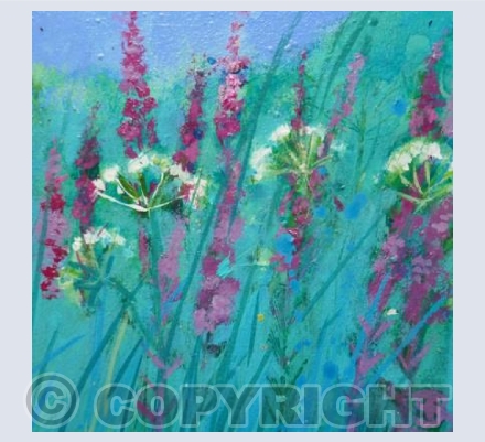 Cerise Pink Willow Herb