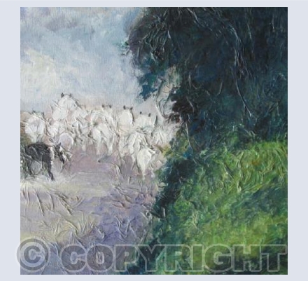 Purple Shadows, Sunbeams and Sheep