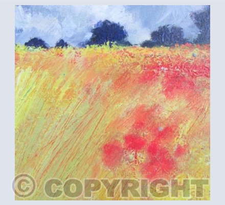 Storm Clouds, Poppy Meadow.