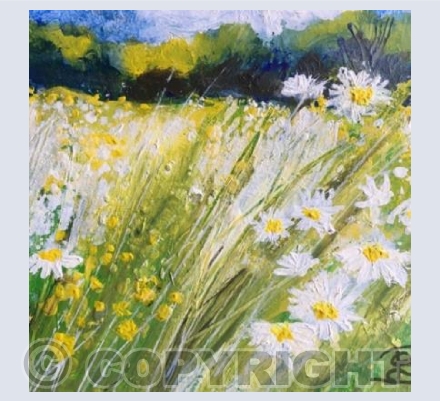 Daisy Meadow