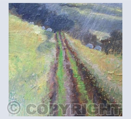 Hazy Sunshine,Sheep Grazing, Misty Day