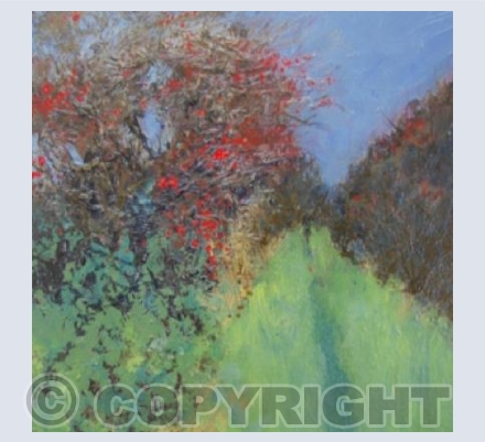 Luscious Red Berries, Winter Walk