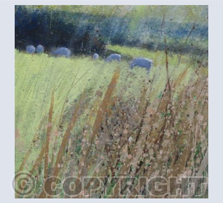 Sheep Grazing in the Late Autumn Sun