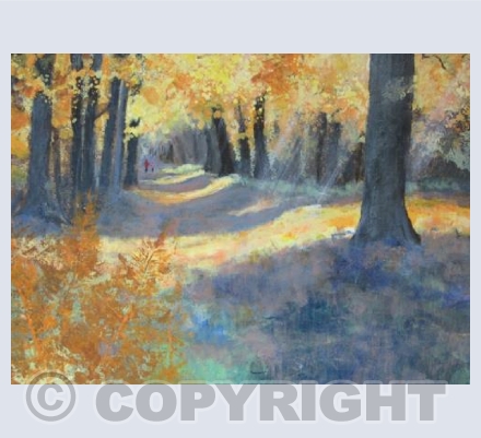 Sunbeams, Autumn Walk