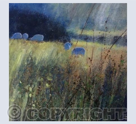 Hazy Sunshine, Sheep Grazing.