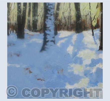Pale Gold, and Lilac Shadows 